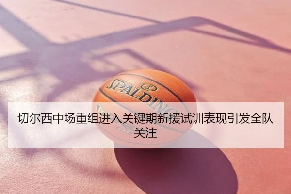 切尔西中场重组进入关键期新援试训表现引发全队关注